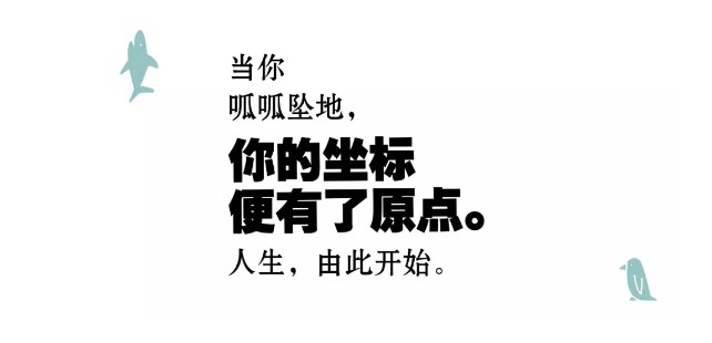 1529376312129060.jpg